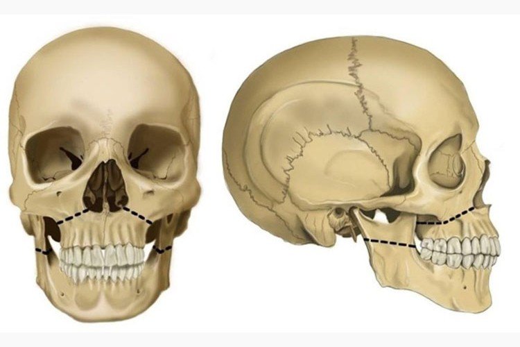 yoga-mother-terasa-kalvi_vision