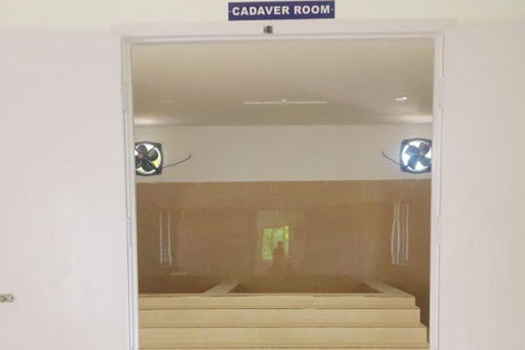 yoga-mother-terasa-kalvi_vision